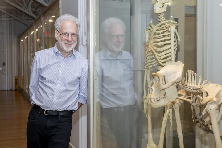 dan lieberman with skeleton